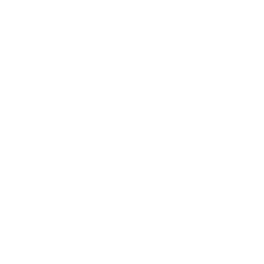 AL AMOOR EXPRESS