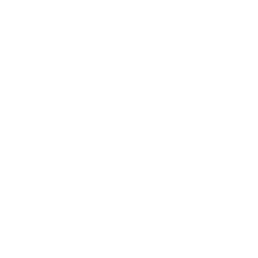 SHANEPUNJAB