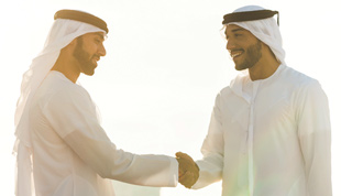 listing_salaried_emiratis